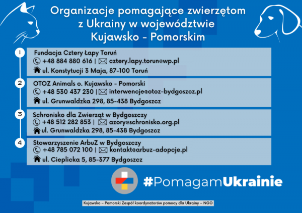 Wykaz telefonów organizacji pomagającym zwierzętom