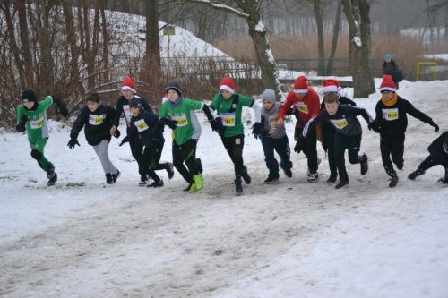 Zdjęcia VIII Bieg Mikołajkowy