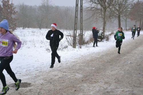 Zdjęcia VIII Bieg Mikołajkowy