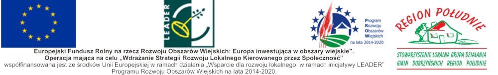 Logtypy Lokalnej Grupy Działania Gmin Dobrzyńskich Region Południe