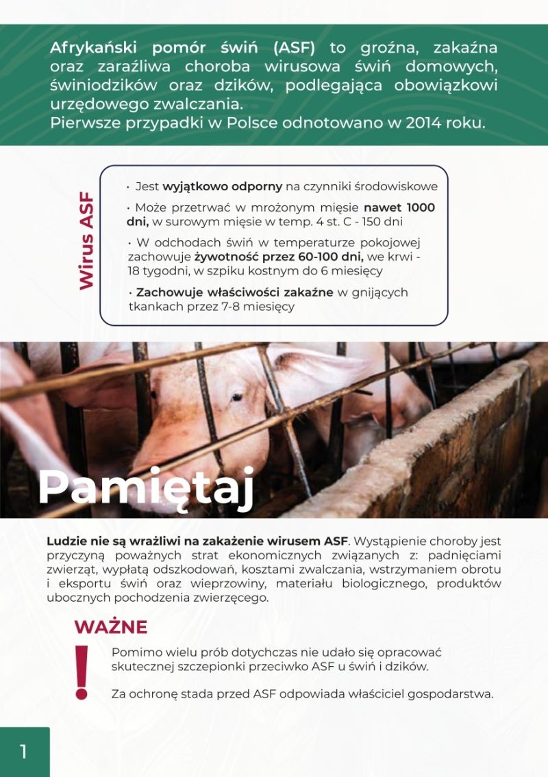 ZATRZYMAJ ASF BROSZURA INFORMACYJNA 2