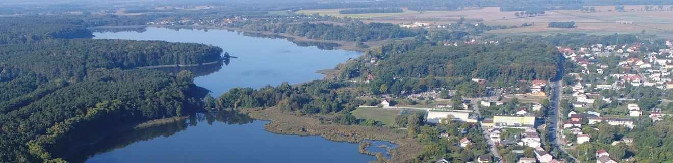 Zdjęcie przedstawia Skępe z lotu ptaka