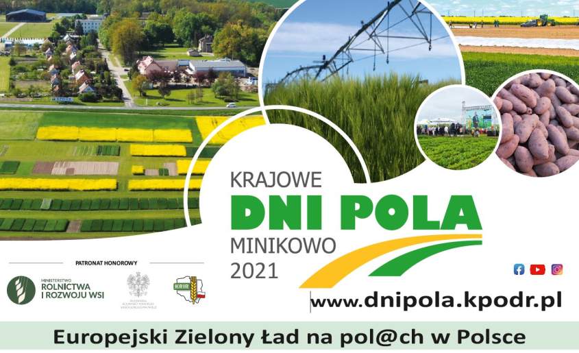 Plakat Krajowych Dni Pola
