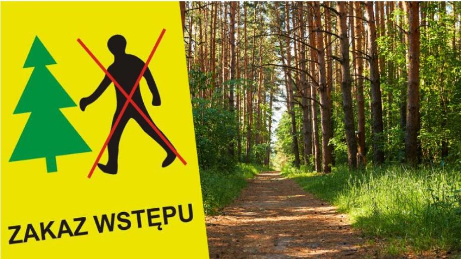 Zakaz wstępu do lasów